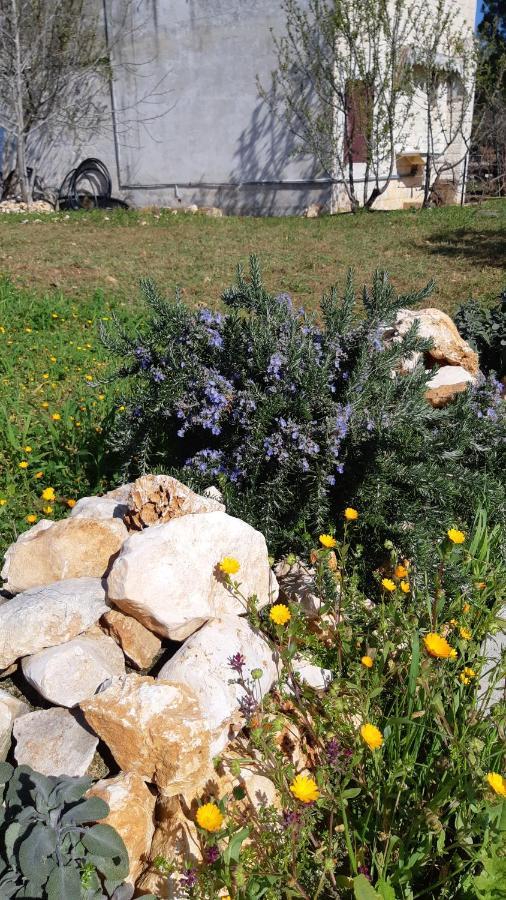 Casa Alle Vigne Polignano a Mare Eksteriør bilde