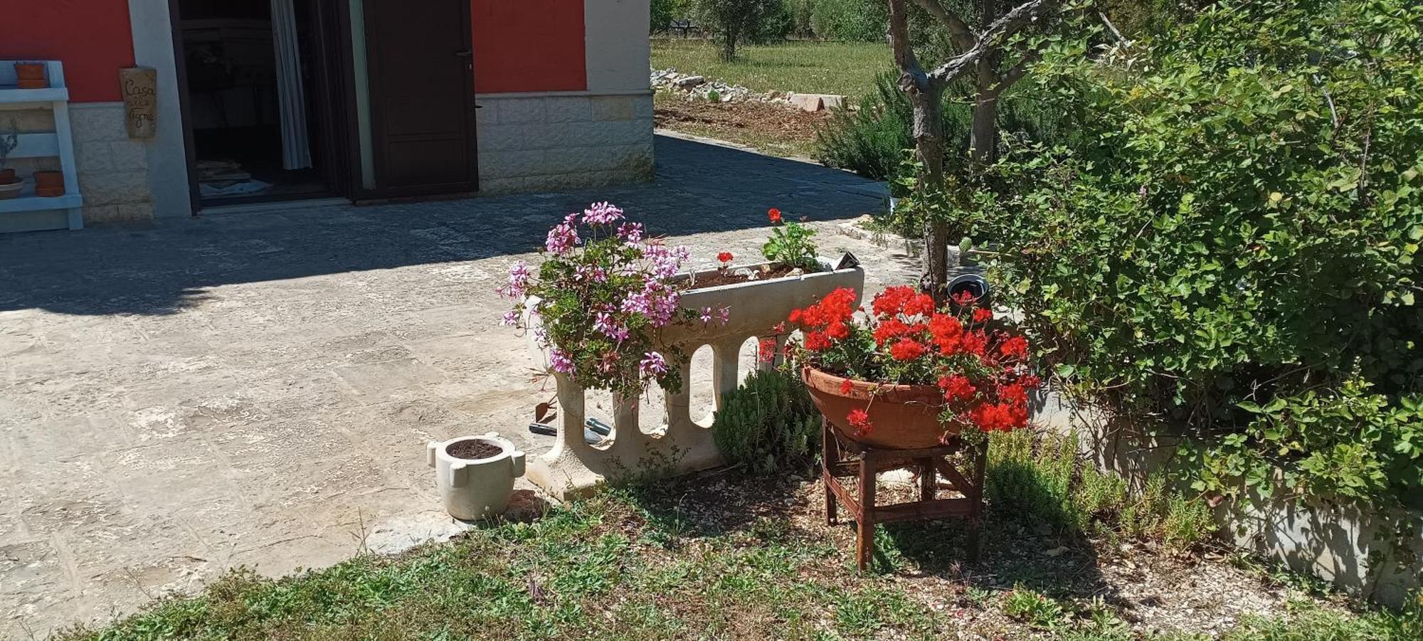 Casa Alle Vigne Polignano a Mare Eksteriør bilde