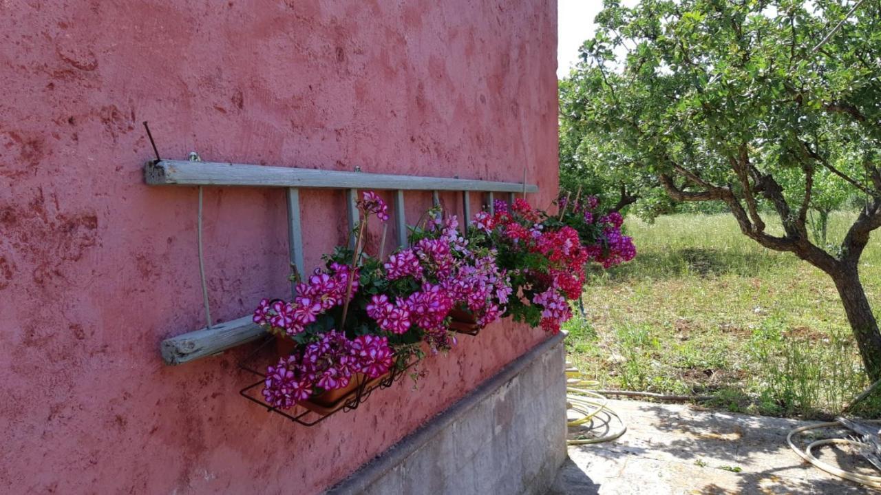 Casa Alle Vigne Polignano a Mare Eksteriør bilde